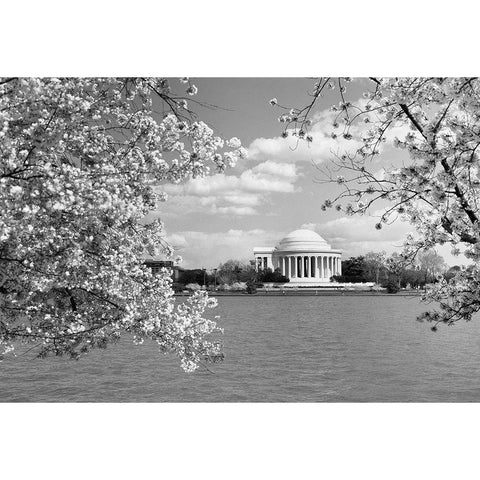 Jefferson Memorial with cherry blossoms, Washington, D.C. - Black and White Variant Black Modern Wood Framed Art Print with Double Matting by Highmith, Carol