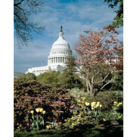 U.S. Capitol, Washington, D.C. Number 3 - Vintage Style Photo Tint Variant White Modern Wood Framed Art Print by Highmith, Carol