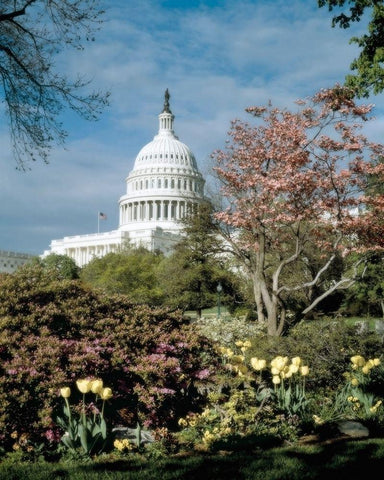 U.S. Capitol, Washington, D.C. Number 3 - Vintage Style Photo Tint Variant White Modern Wood Framed Art Print with Double Matting by Highmith, Carol