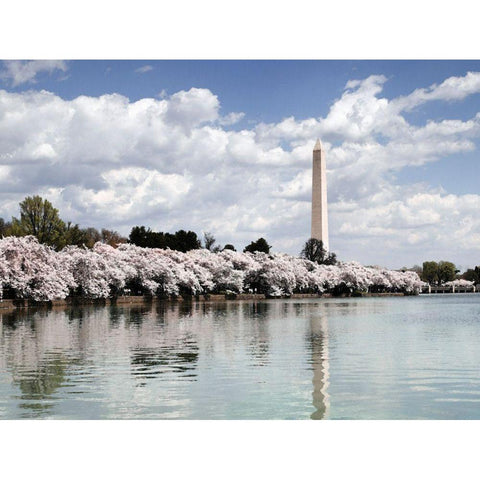 Washington Monument, Washington, D.C. - Vintage Style Photo Tint Variant Black Modern Wood Framed Art Print with Double Matting by Highmith, Carol