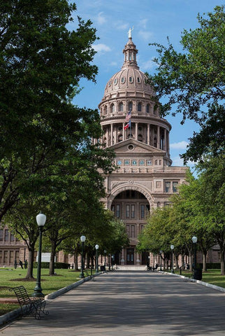 The Texas Capitol, Austin, Texas, 2014 Black Ornate Wood Framed Art Print with Double Matting by Highmith, Carol