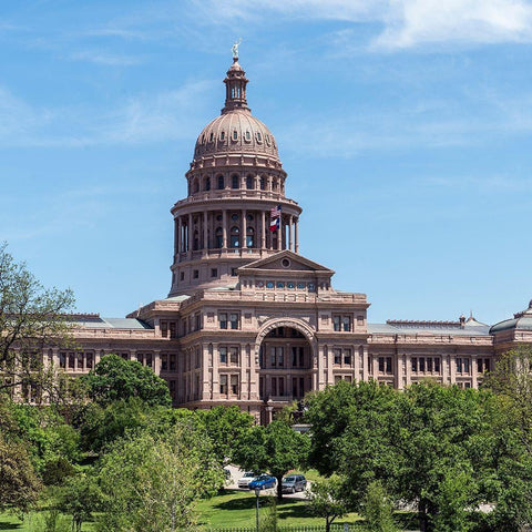 The Texas Capitol, Austin, Texas, 2014 Gold Ornate Wood Framed Art Print with Double Matting by Highmith, Carol