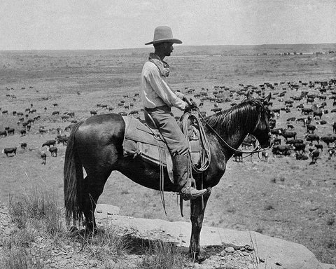 A Texas cowboy, 1907 Black Ornate Wood Framed Art Print with Double Matting by Smith, Erwin E.