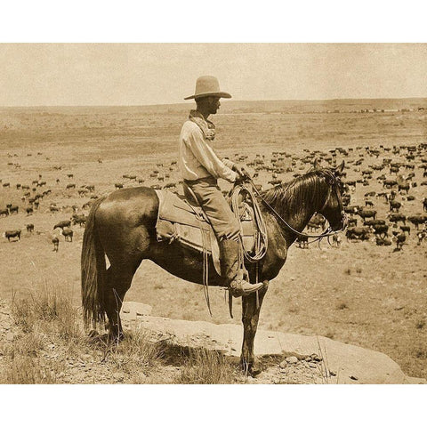 A Texas cowboy, 1907 - Sepia White Modern Wood Framed Art Print by Smith, Erwin E.
