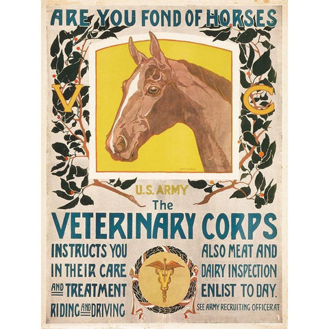 Are You Fond of Horses, 1919 Black Modern Wood Framed Art Print with Double Matting by Schreck, Horst