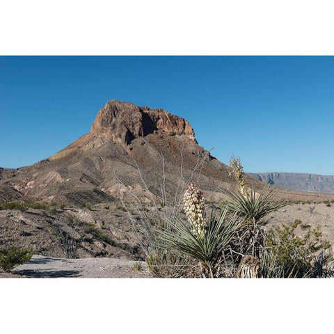 Scene from Big Bend National Park in Brewster County, TX White Modern Wood Framed Art Print by Highmith, Carol