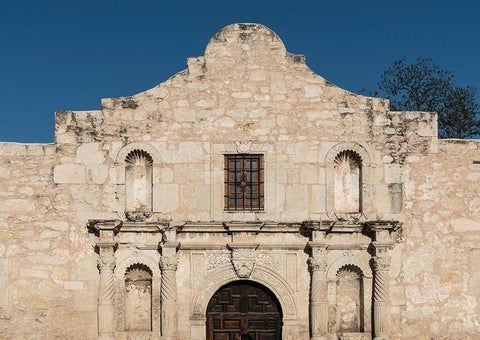 Doorway to the Alamo, an 18th-century mission church in San Antonio, TX Black Ornate Wood Framed Art Print with Double Matting by Highmith, Carol