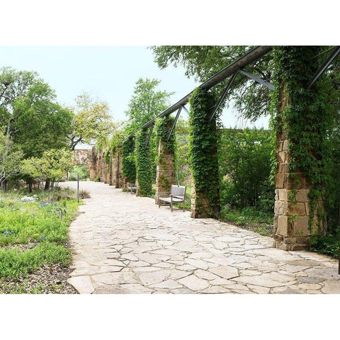 Paved walkway at the Lady Bird Johnson Wildflower Center, near Austin, TX Gold Ornate Wood Framed Art Print with Double Matting by Highmith, Carol
