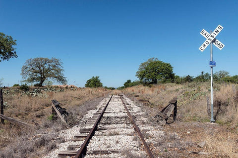 Lonely, little-used stretch of railroad tracks in the Texas Hill Country, near Burnet Black Ornate Wood Framed Art Print with Double Matting by Highmith, Carol
