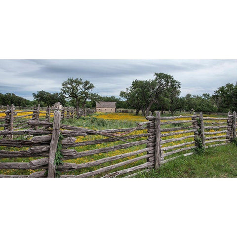 Vivid field of wildflowers in the Lyndon B. Johnson National Historical Park in Johnson City, TX White Modern Wood Framed Art Print by Highmith, Carol