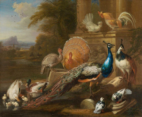 Peacocks, Doves, Turkeys, Chickens and Ducks by a Classical Ruin White Modern Wood Framed Art Print with Double Matting by Cradock, Marmaduke