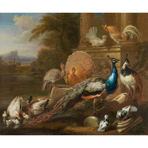 Peacocks, Doves, Turkeys, Chickens and Ducks by a Classical Ruin Black Modern Wood Framed Art Print with Double Matting by Cradock, Marmaduke