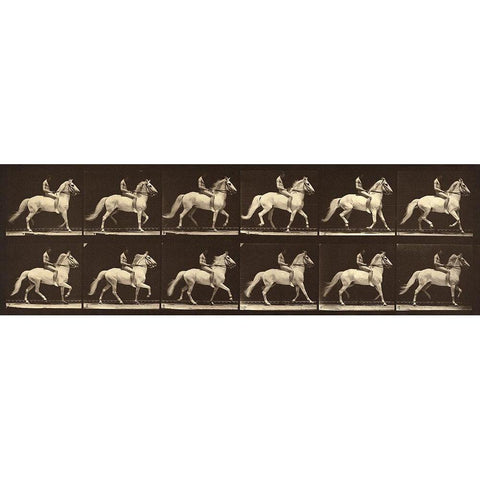 Motion Study: Man Riding A Horse White Modern Wood Framed Art Print by Muybridge, Eadweard J.