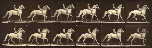 Image Only