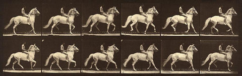 Motion Study: Man Riding A Horse Black Ornate Wood Framed Art Print with Double Matting by Muybridge, Eadweard J.