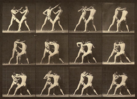 Motion Study: Men Fighting White Modern Wood Framed Art Print with Double Matting by Muybridge, Eadweard J.
