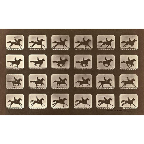 Motion Study: Man Riding A Galloping Horse White Modern Wood Framed Art Print by Muybridge, Eadweard J.