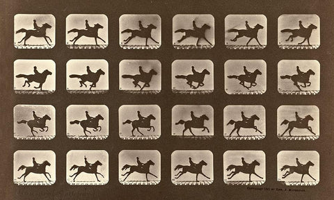 Motion Study: Man Riding A Galloping Horse Black Ornate Wood Framed Art Print with Double Matting by Muybridge, Eadweard J.