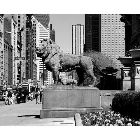 Edward Kemeys guardian lions stand before the Art Institute of Chicago Illinois Black Modern Wood Framed Art Print by Highsmith, Carol