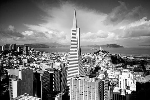 Transamerica Tower San Francisco California White Modern Wood Framed Art Print with Double Matting by Highsmith, Carol