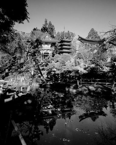 Japanese Tea Garden at Golden Gate Park San Francisco California Black Ornate Wood Framed Art Print with Double Matting by Highsmith, Carol