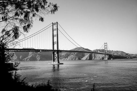 Golden Gate Bridge San Francisco California Black Ornate Wood Framed Art Print with Double Matting by Highsmith, Carol