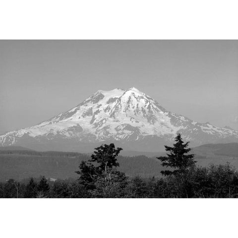 Mount Shasta California White Modern Wood Framed Art Print by Highsmith, Carol