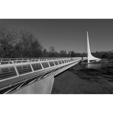 The Sundial Bridge at Turtle Bay Redding California Gold Ornate Wood Framed Art Print with Double Matting by Highsmith, Carol