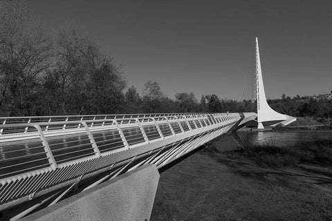 The Sundial Bridge at Turtle Bay Redding California Black Ornate Wood Framed Art Print with Double Matting by Highsmith, Carol