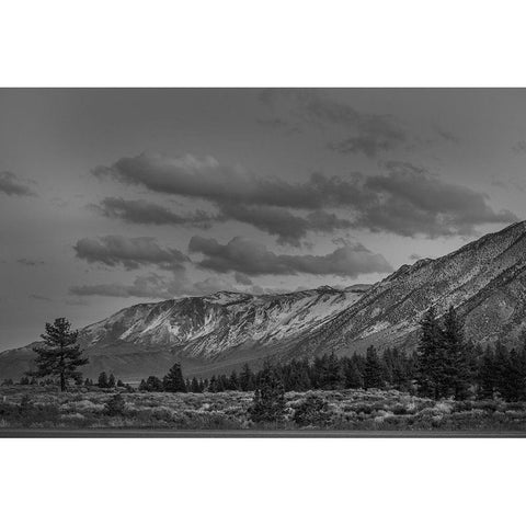 Mammoth Lakes California Black Modern Wood Framed Art Print with Double Matting by Highsmith, Carol