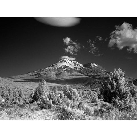 Mount Shasta in the Cascade Range Siskiyou County California Gold Ornate Wood Framed Art Print with Double Matting by Highsmith, Carol