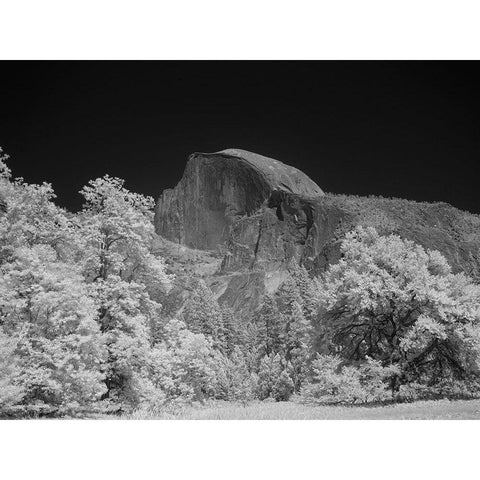 Half Dome in Yosemite National Park California White Modern Wood Framed Art Print by Highsmith, Carol