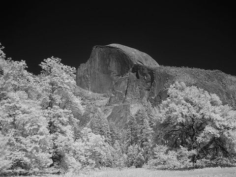 Half Dome in Yosemite National Park California Black Ornate Wood Framed Art Print with Double Matting by Highsmith, Carol