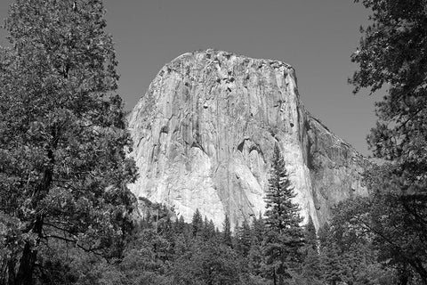 El Capitan in Yosemite National Park California Black Ornate Wood Framed Art Print with Double Matting by Highsmith, Carol