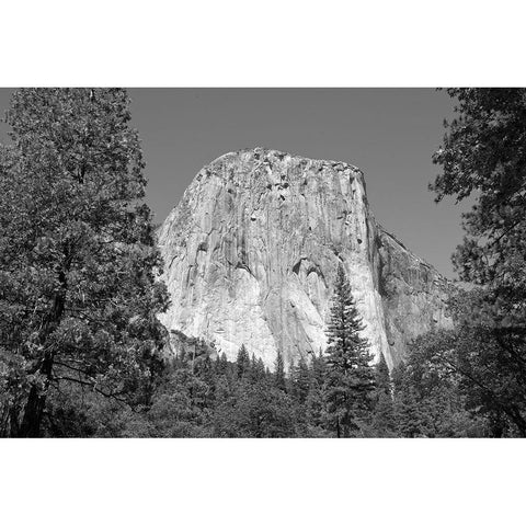 El Capitan in Yosemite National Park California White Modern Wood Framed Art Print by Highsmith, Carol