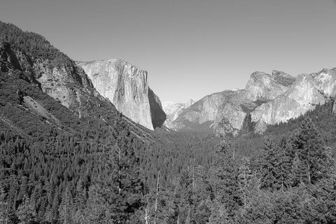 Yosemite National Park California White Modern Wood Framed Art Print with Double Matting by Highsmith, Carol