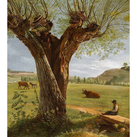 Pollard Willow Black Modern Wood Framed Art Print by Boquet, Pierre Jean