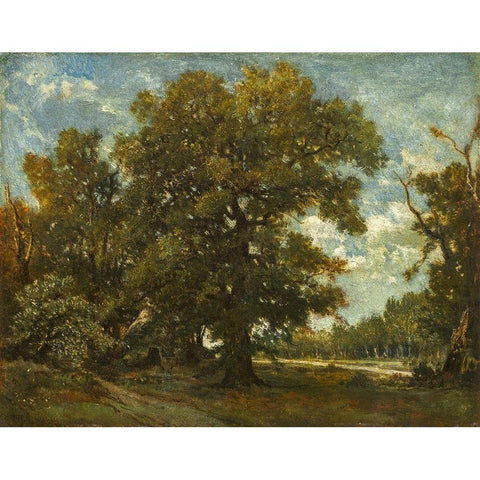 The Oak Tree Black Modern Wood Framed Art Print with Double Matting by Rousseau, Theodore