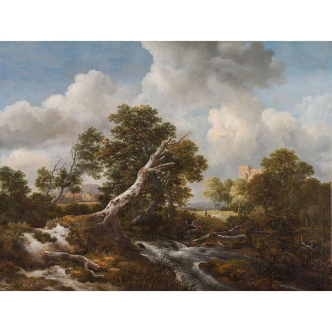Low Waterfall in a Wooded Landscape with a Dead Beech Tree Black Modern Wood Framed Art Print with Double Matting by Ruisdael, Jacob van