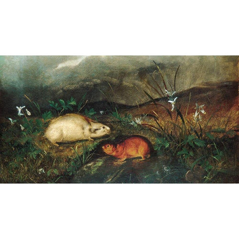 Hudsons Bay Lemming 1846 Gold Ornate Wood Framed Art Print with Double Matting by Audubon, John Woodhouse