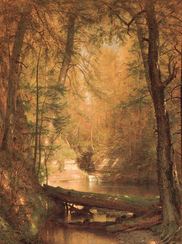 The Trout Pool 1870 White Modern Wood Framed Art Print with Double Matting by Whittredge, Worthington