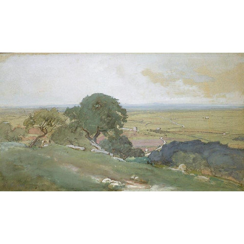 Olive Trees at Tivoli 1873 White Modern Wood Framed Art Print by Inness, GeorgeÂ 