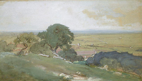 Olive Trees at Tivoli 1873 Black Ornate Wood Framed Art Print with Double Matting by Inness, GeorgeÂ 