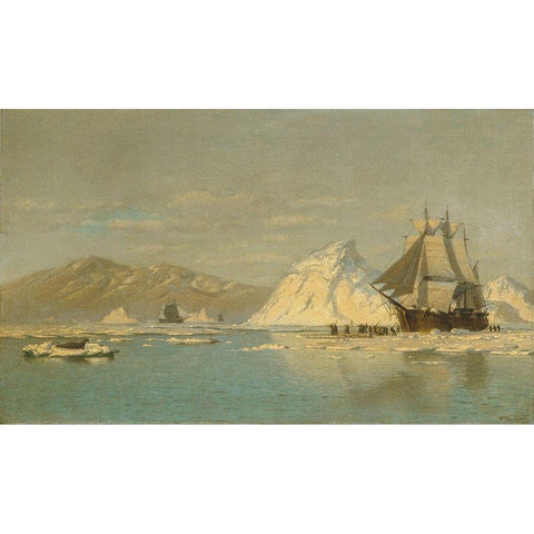 Off Greenlandâ€”Whaler Seeking Open Water White Modern Wood Framed Art Print by Bradford, WilliamÂ 