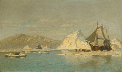 Off Greenlandâ€”Whaler Seeking Open Water Black Ornate Wood Framed Art Print with Double Matting by Bradford, WilliamÂ 