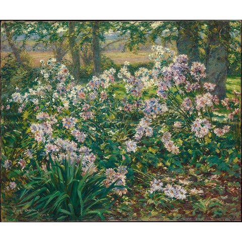 Windflowers Black Modern Wood Framed Art Print with Double Matting by Donoho, Ruger