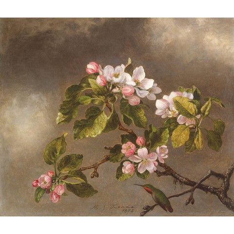 Hummingbird and Apple Blossoms Gold Ornate Wood Framed Art Print with Double Matting by Heade, Martin Johnson