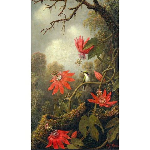 Hummingbird and Passionflowers Gold Ornate Wood Framed Art Print with Double Matting by Heade, Martin Johnson