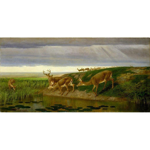 Deer on the Prairie Gold Ornate Wood Framed Art Print with Double Matting by Beard, William Holbrook