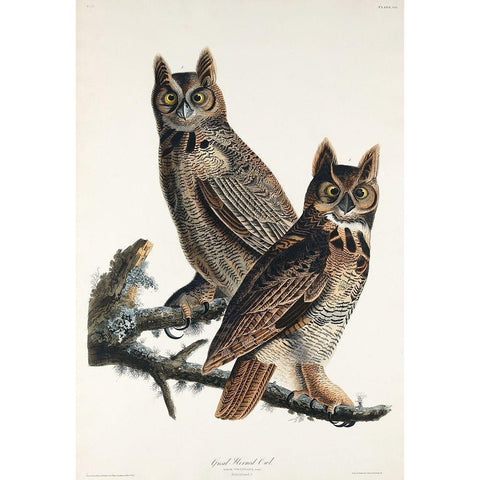 Great Horned Owl Gold Ornate Wood Framed Art Print with Double Matting by Audubon, John James